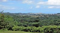 IMG 4132