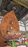IMG 4164
