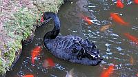 IMG 4174