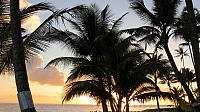 IMG 4195
