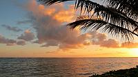 IMG 4197