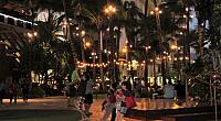 IMG 4232