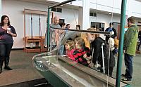 IMG 4341 (2)