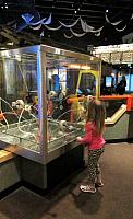 IMG 4358 (2)