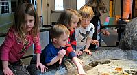 IMG 4371 (2)