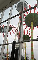 IMG 4387 (2)