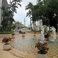 IMG 5186