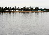 IMG 4952