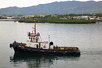 P1100217