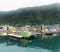IMG 4981 (2)