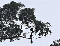 IMG 5025 (2)