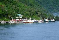 P1100246