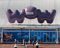 IMG 4477