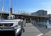 IMG 4480