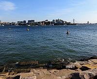 IMG 4498