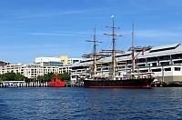 IMG 4529