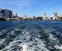 IMG 4530
