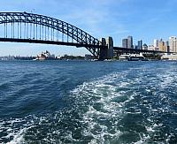 IMG 4537