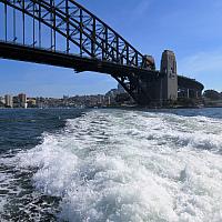 IMG 4546