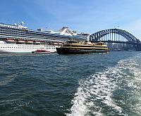 IMG 4549