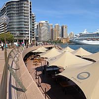 IMG 4552