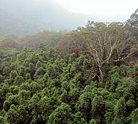 IMG 4629