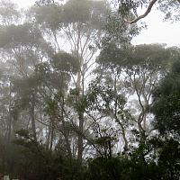 IMG 4669