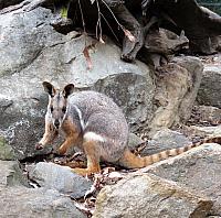 IMG 4747