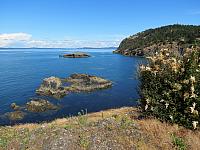 IMG 5631