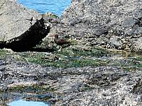 IMG 5638