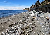 IMG 5691
