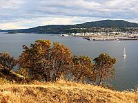 IMG 5719