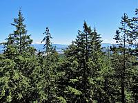 IMG 5731