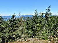 IMG 5741