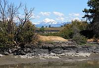 IMG 5744