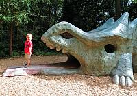 IMG 5808