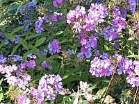 IMG 5989
