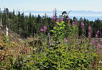 IMG 5869