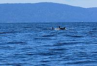 IMG 5925