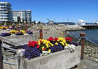 IMG 5940