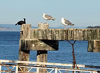 IMG 5948