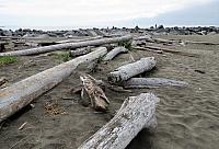 IMG 6024