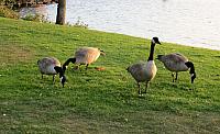 IMG 6080
