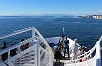 IMG 6101