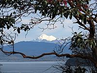 IMG 6166