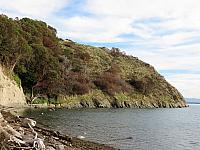 IMG 6171