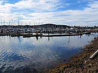IMG 6172