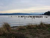 IMG 6202