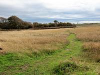 IMG 6210