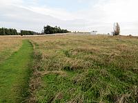 IMG 6217